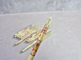 Lapiceras borrables CAPIBARA